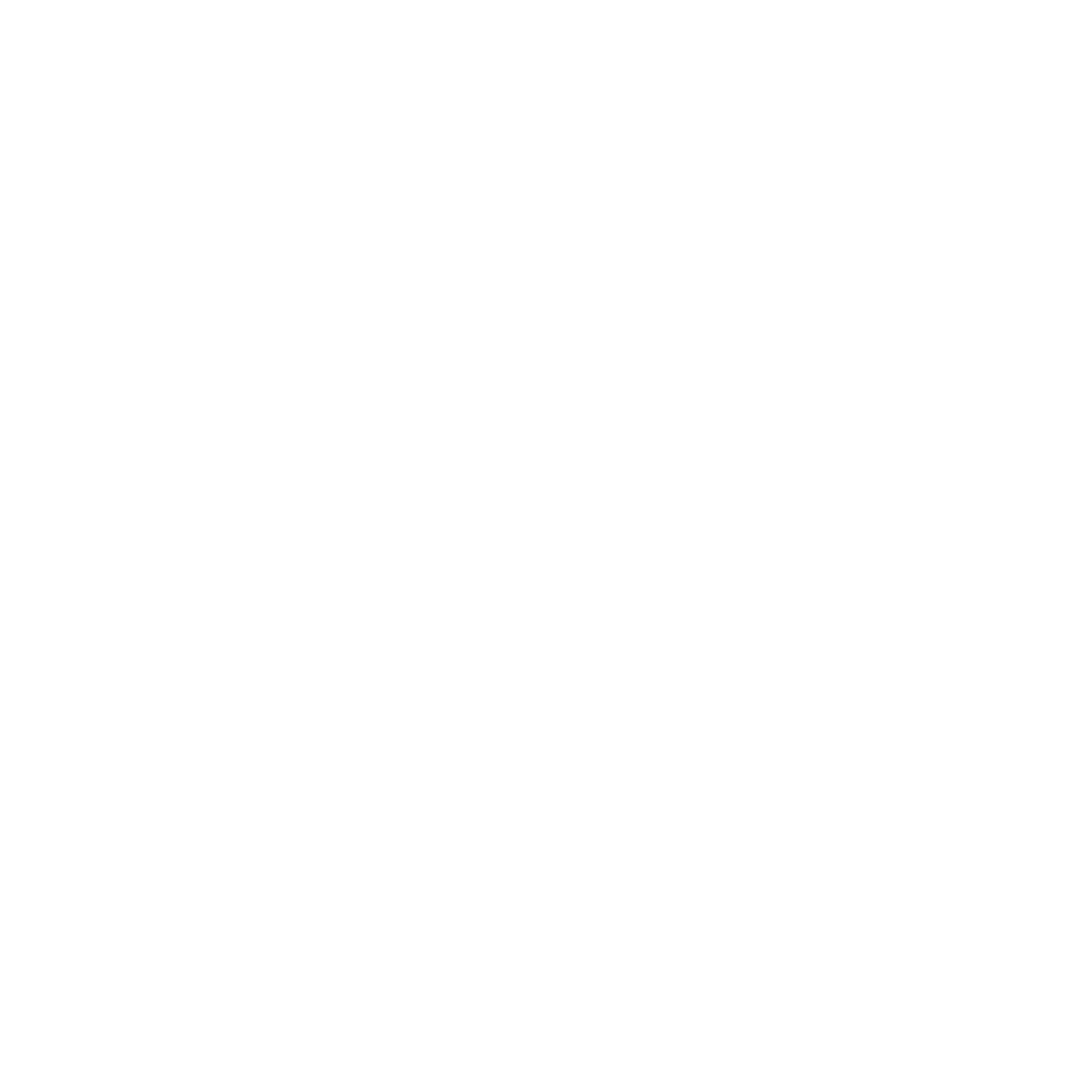 logo white2